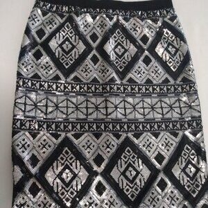 Shine with me skirt